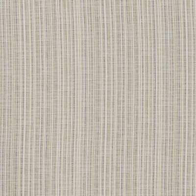 Robert Allen DULCET LINES LETTUCE