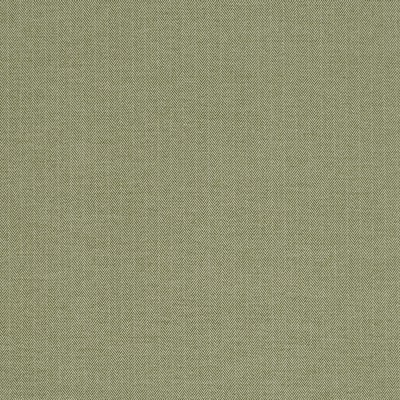 Robert Allen VIA ROMA LETTUCE