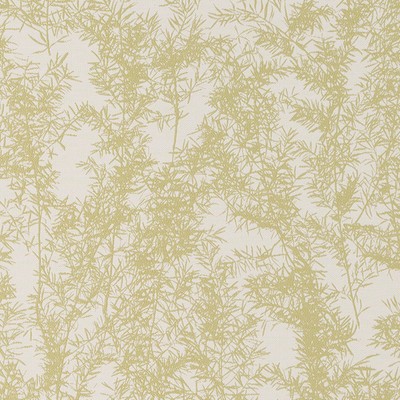 Robert Allen WOLONG GARDEN LETTUCE