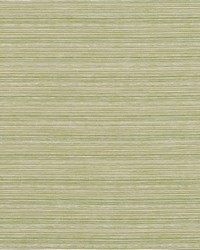 Robert Allen Adorn Solid Lime Fabric