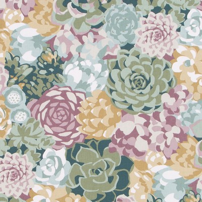 Robert Allen SUCCULENTS ALOE