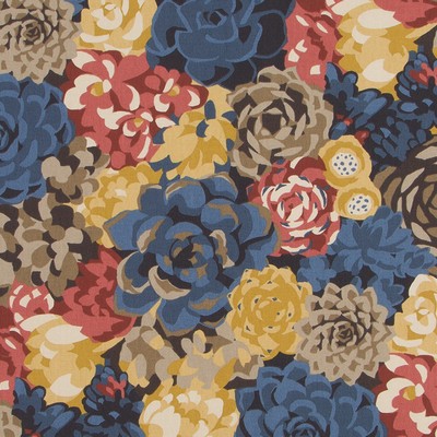 Robert Allen SUCCULENTS TERRAIN