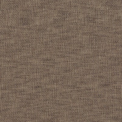 Robert Allen CEBU BRONZE