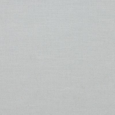 Robert Allen GLAZED LINEN PLATINUM