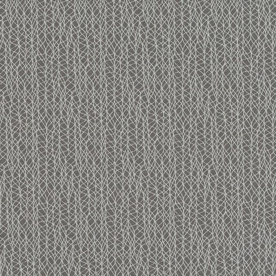 Robert Allen COIL STONE