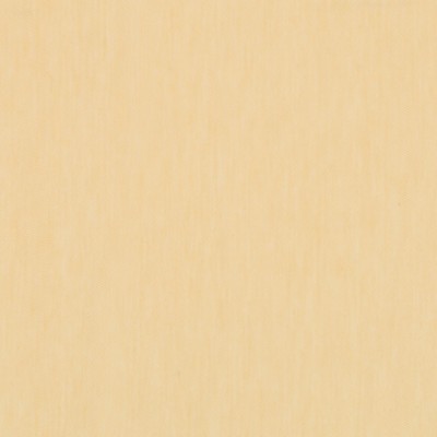 Robert Allen PANGLAO GOLDENROD