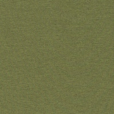 Robert Allen ARDENVOIR FERN