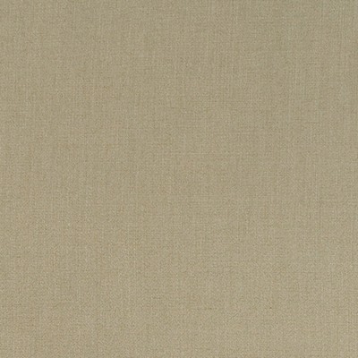 Robert Allen HALMORE LANE TAUPE