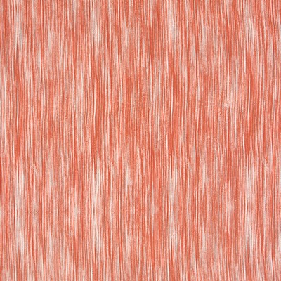 Robert Allen DERBY DAY       TOMATO         