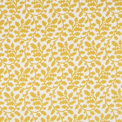 Robert Allen FOLK VINE       JONQUIL        