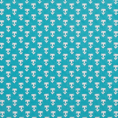 Robert Allen INPARDO         AQUA           