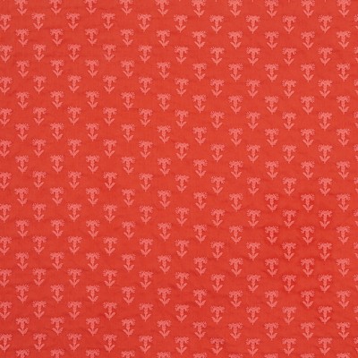 Robert Allen INPARDO         TOMATO         