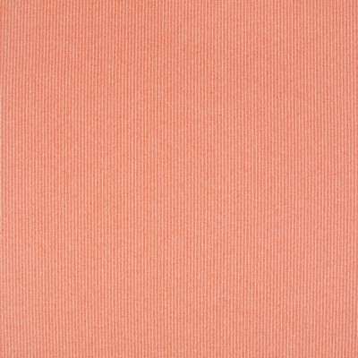 Robert Allen PERTHSHIRE      TOMATO         