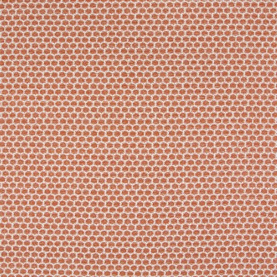 Robert Allen PENGALL         TOMATO         