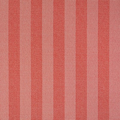 Robert Allen BEZIQUE         TOMATO         