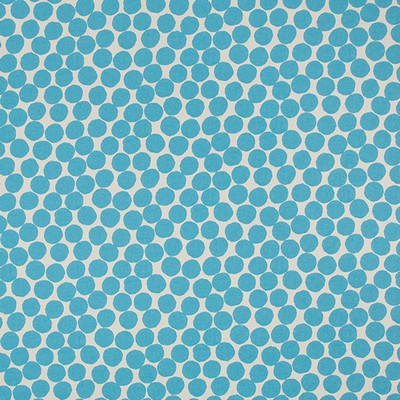 Robert Allen INTI RAYMI      AQUA           