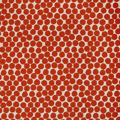 Robert Allen INTI RAYMI      TOMATO         