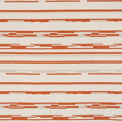 Robert Allen HONDO           TOMATO         