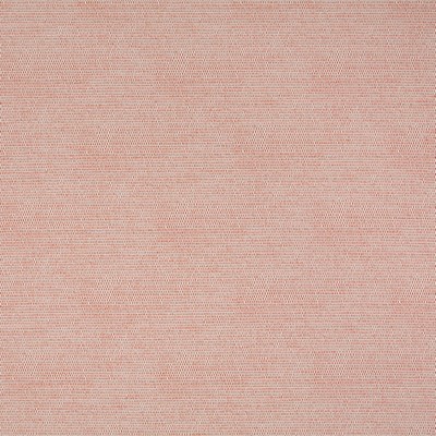 Robert Allen APOSTROPHE      TOMATO         