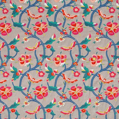 Robert Allen DULCE FLORES    TOMATO         