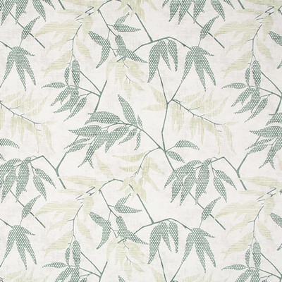 Robert Allen ENCLAVE         GRASSLAND      