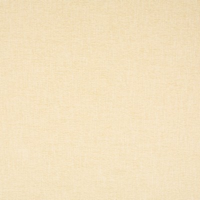 Robert Allen HICKS WEAVE BK  GOLDEN HOUR    