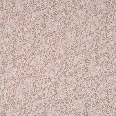 Robert Allen DISPERSION      BLUSH          