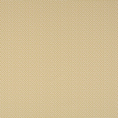 Robert Allen IDYLLIC CHARM   MAIZE          