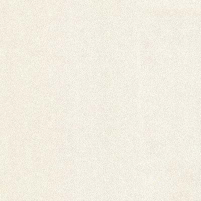 Brewster Wallcovering Bess Bone Bubble Texture Bone