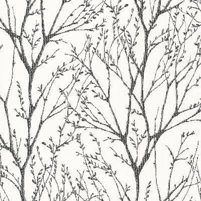 Brewster Wallcovering Delamere Black Tree Branches Black
