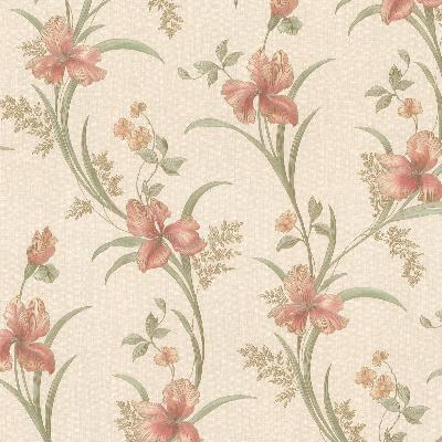 Brewster Wallcovering Misty Peach Lily Trail Peach