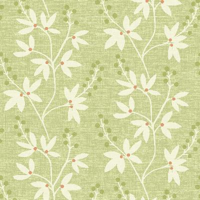 Brewster Wallcovering Currant Green Botanical Trail Green