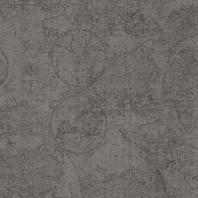 Brewster Wallcovering Cartography Pewter Vintage World Map Pewter