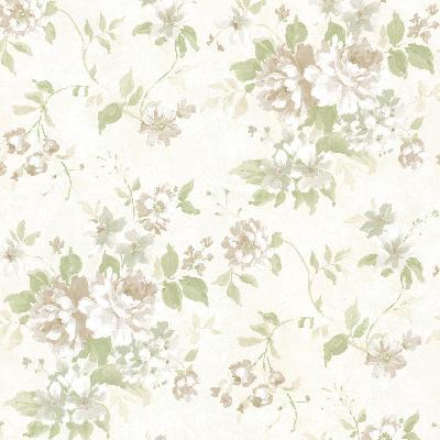 Brewster Wallcovering Eloise Green Floral  Green