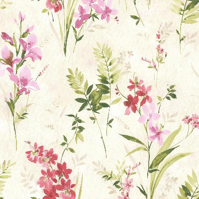 Brewster Wallcovering Henrietta Pink Watercolor Floral  Pink
