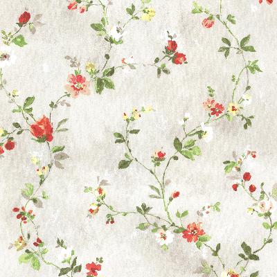 Brewster Wallcovering Isabella  Red Floral Trail Red