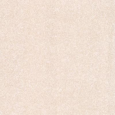 Brewster Wallcovering Gesso Neutral Plaster Texture Neutral