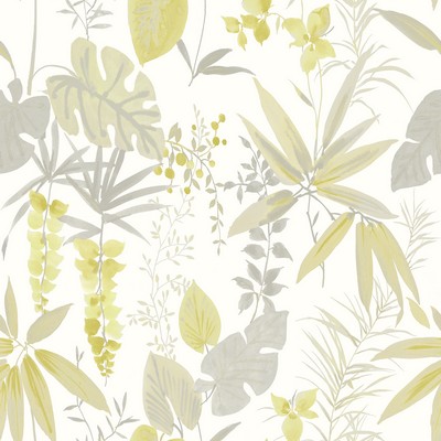 Brewster Wallcovering Descano Flower Golden Green Botanical Wallpaper Golden Green