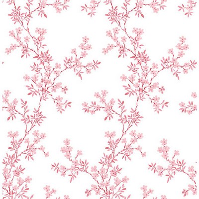 Brewster Wallcovering Claire Pink Floral Trail  Pink