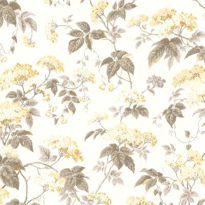 Brewster Wallcovering Emily Yellow Blossom Trail Yellow