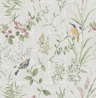 Brewster Wallcovering Imperial Grey Garden Chinoiserie Grey