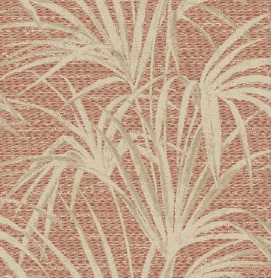 Brewster Wallcovering Song Coral Fountain Palm  Coral