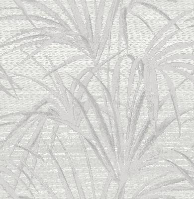 Brewster Wallcovering Song White Fountain Palm  White