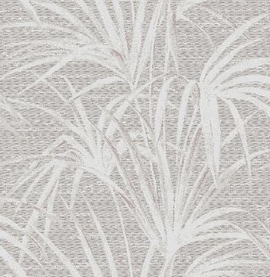 Brewster Wallcovering Song Grey Fountain Palm  Grey