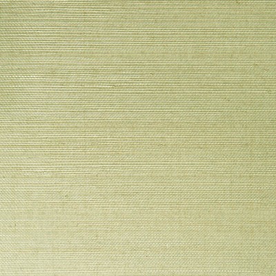 Brewster Wallcovering Mutei Sage Grasscloth Sage