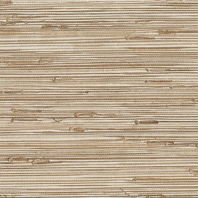 Brewster Wallcovering Dazo Neutral Grasscloth Neutral