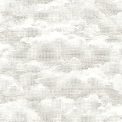 Brewster Wallcovering Solstice Pearl Cloud Wallpaper Pearl