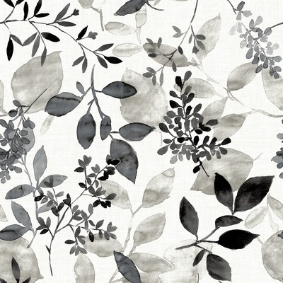 Brewster Wallcovering Gossamer Black Botanical Wallpaper Black