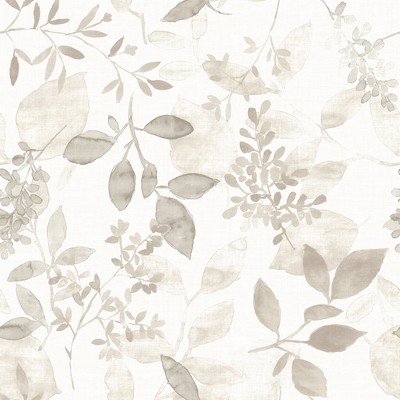 Brewster Wallcovering Gossamer Taupe Botanical Wallpaper Taupe
