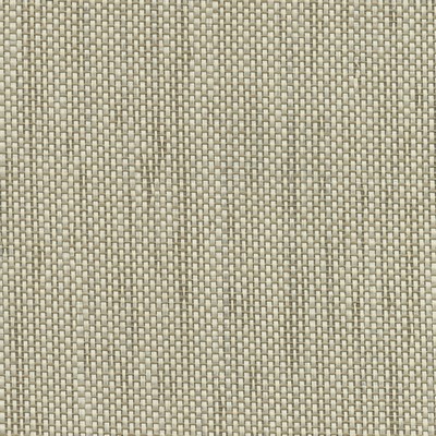 Brewster Wallcovering Gaoyou Beige Paper Weave Wallpaper Beige